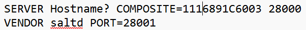 Lizenzdatei: SERVER mit Port 28000, VENDOR saltd PORT=28001