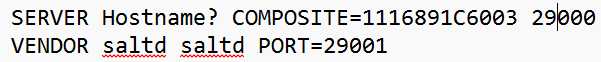 Lizenzdatei: SERVER mit Port 29000, VENDOR saltd PORT=29001 – aktueller Standard